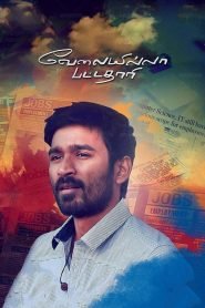 VIP – Velaiilla Pattadhari (2014) UNCUT Hindi/Tamil – Full Movie Download & Watch FREE – MRBOBD.COM