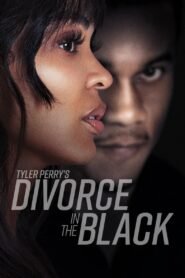 Tyler Perry’s Divorce in the Black (2024) Hindi + English – Full Movie Download & Watch FREE – MRBOBD.COM