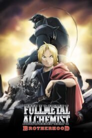 Fullmetal Alchemist: Brotherhood (2009) S01 Episode [1-12] Added – Multi [Hindi-English-Japanese] & Watch FREE
